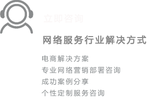 电商解决方案-专业网络营销部署咨询-成功案例分享-个性定制服务咨询